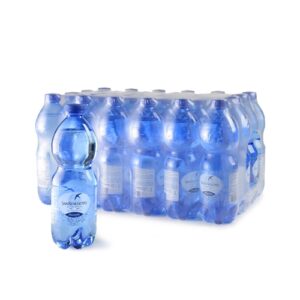 SAN BENEDETTO ACQUA FRIZZANTE ML.500X6