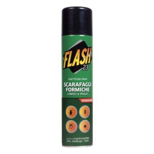 FLASH SCARAFAGGI E FORMICHE
